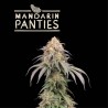 ▷ Buy Mandarin Panties Auto  exclusive seeds⛰️【Seedstockers Oficial】SUPERIOR