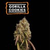 ▷ Buy Gorilla Cookies Fem seeds⛰️【Seedstockers Oficial】USA