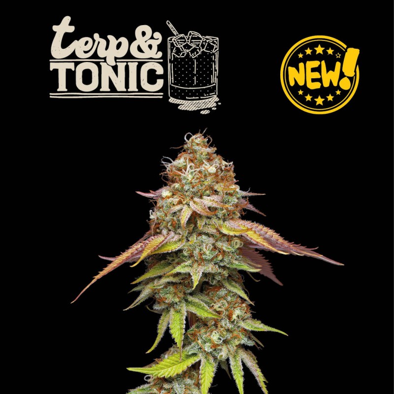 TERP & TONIC© FEM