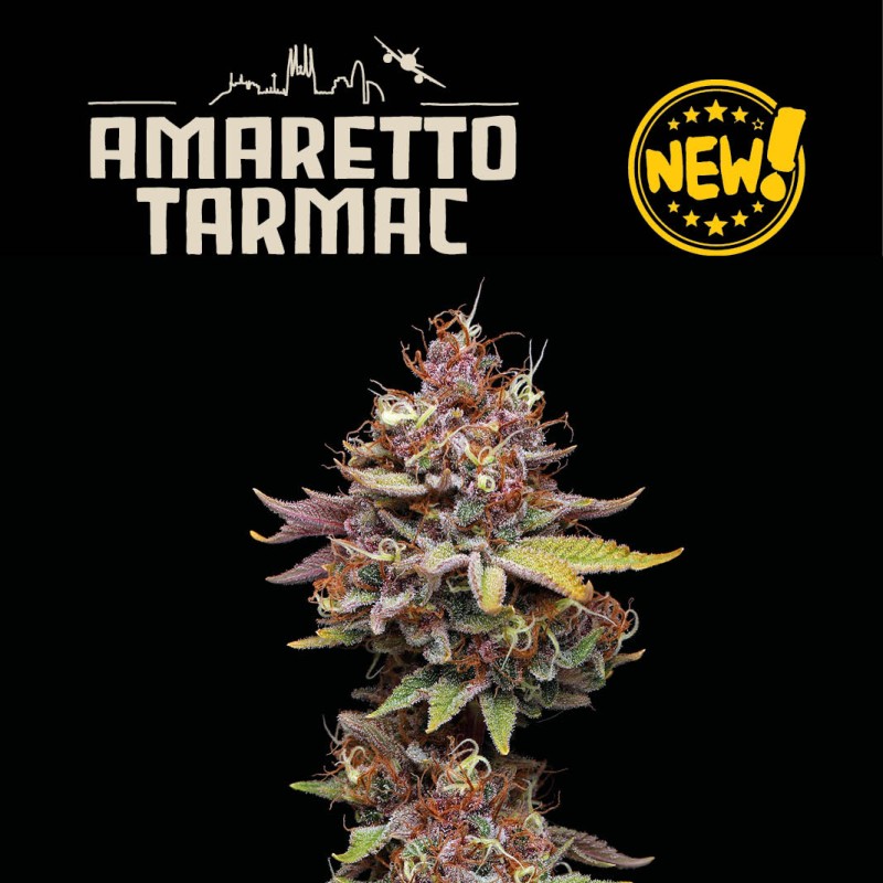 AMARETTO TARMAC© FEM