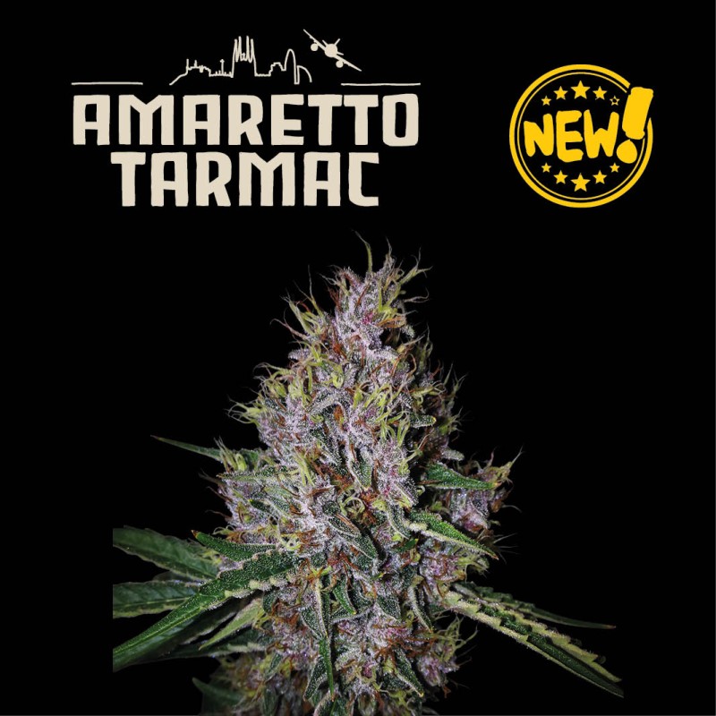 AMARETTO TARMAC© AUTO