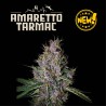 AMARETTO TARMAC© AUTO